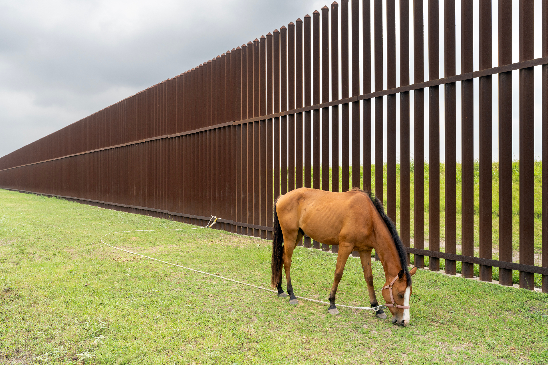 Brownsville, Texas, 2024